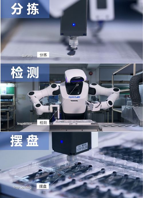 硬核实力铸就卓越，小拓荣膺高工机器人金球奖年度产品奖